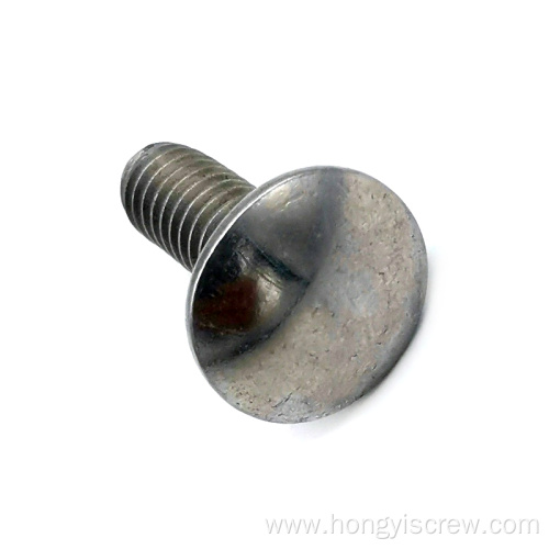 Round Head Square Neck SS Carriage Bolt